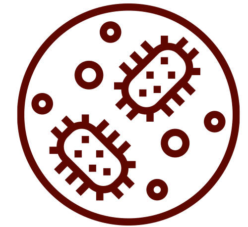 Microbial Characterisation